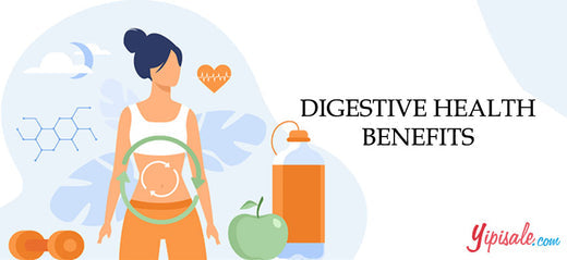 Improve Your Digestive Health to Gain Success, Wealth, and Happiness - 2022