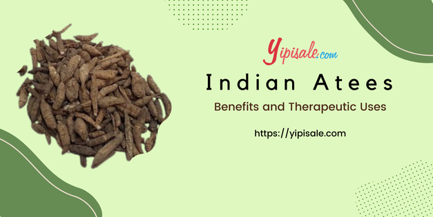 Indian Atees: Health Benefits and Therapeutic Uses (Ativisha, Aconitum Heterophyllum)