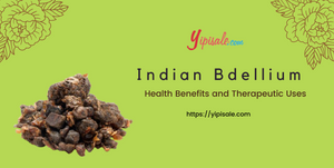 Indian Bdellium: Health Benefits and Therapeutic Uses (Guggal, Commiphora wightii)