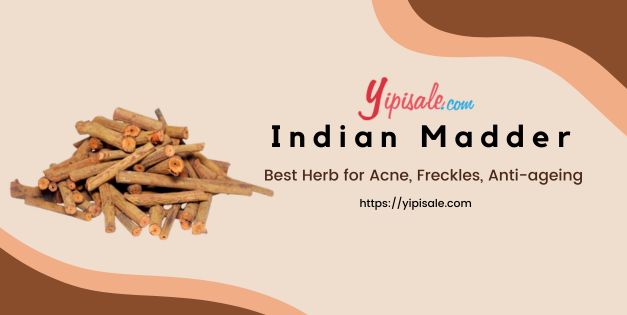 Indian Madder Best Herb for Acne, Freckles, Anti-ageing (Rubia Cordifolia)