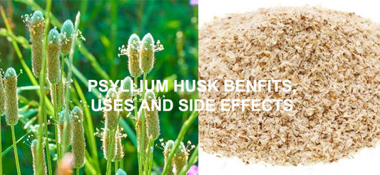 Psyllium husk - Best Herb for Constipation, IBS and Piles (Isabgol, Plantago Ovata