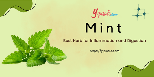 Mint Best Herb for Inflammation and Digestion