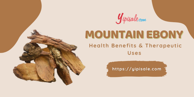 Mountain Ebony Health Benefits, Therapeutic Uses and Side Effects (Bauhinia Variegata)