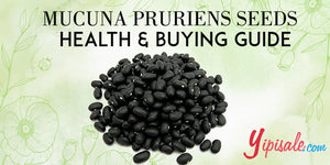 Velvet Bean (Kaunch Beej) Buying Guide: Enhance Your Health and Well-being
