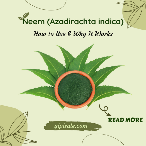 Neem (Azadirachta indica) How to Use & Why It Works