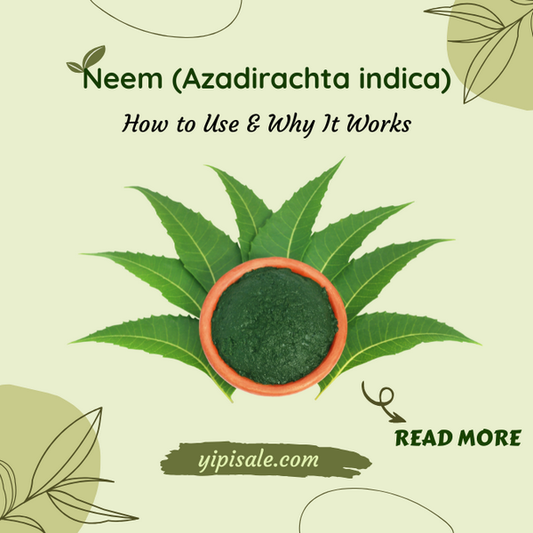 Neem (Azadirachta indica) How to Use & Why It Works