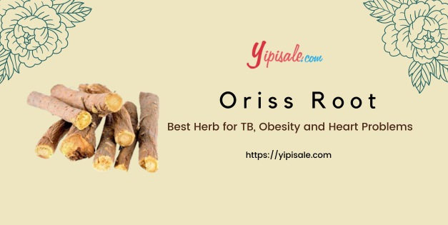 Oriss Root Best Herb for TB, Obesity and Heart Problems (Inula Racemosa)