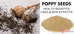 Poppy Seeds – Introduction, Health Benefits, Uses, and Side Effects of Papaver Somniferum
