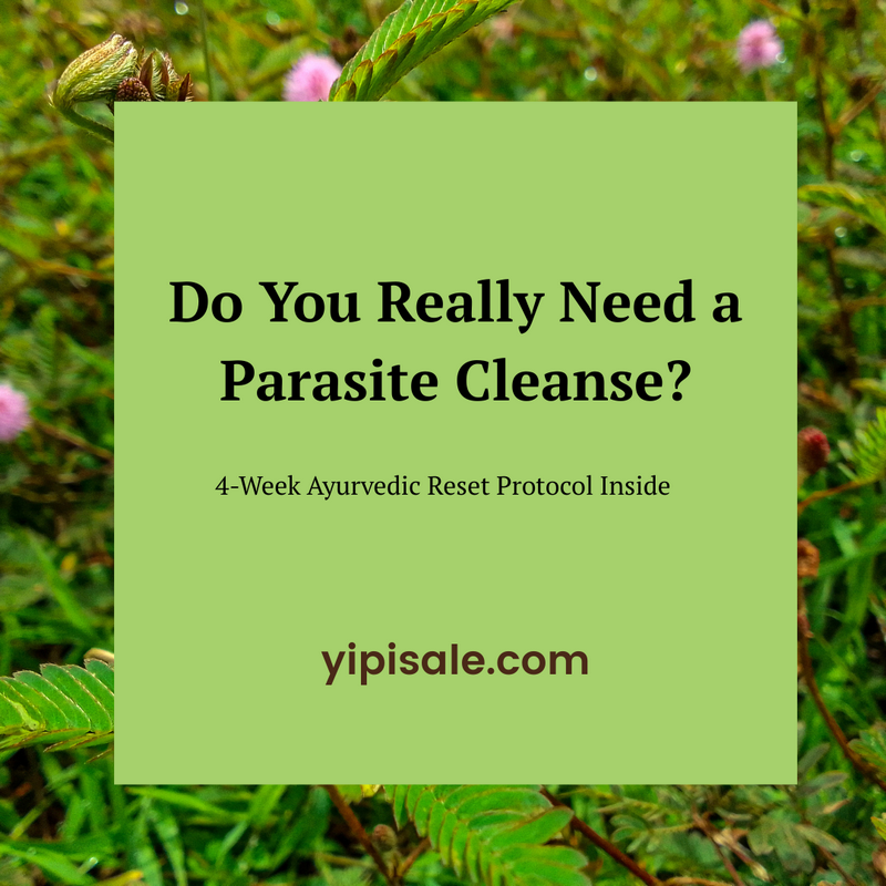 ayurvedic parasite cleanse guide naturopath priti yipisale