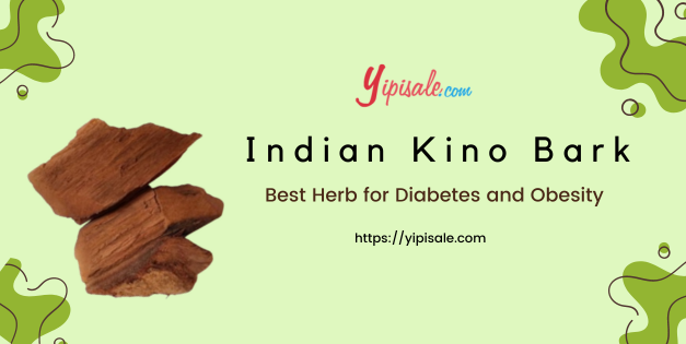 Pterocarpus Marsupium: Best Herb for Diabetes and Obesity (Indian Kino)