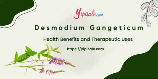 Shalparni: Health Benefits and Therapeutic Uses (Desmodium Gangeticum)