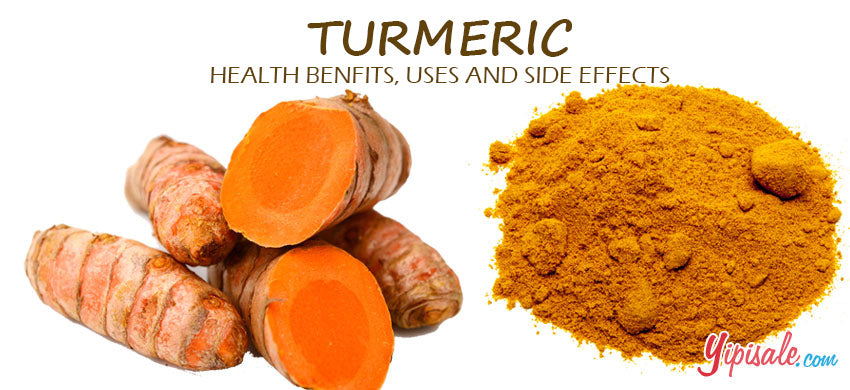Turmeric – Introduction, Health Benefits, Uses, and Side Effects of Curcuma Longa