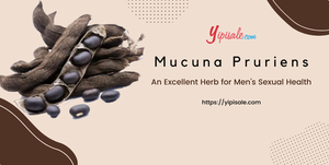 Mucuna Pruriens: Benefits, Uses and Dosage