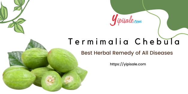 Termimalia Chebula: Best Remedy of All Diseases (Haritaki, Harad)