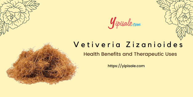 Vetiver: Health Benefits and Therapeutic Uses (Vetiveria Zizanioides, Khas Grass)