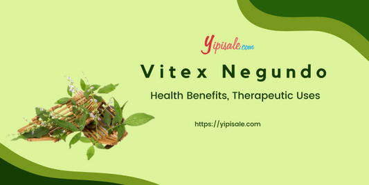 Vitex Negundo – Health Benefits, Therapeutic Uses (Five-leaved chaste, Nirgundi)