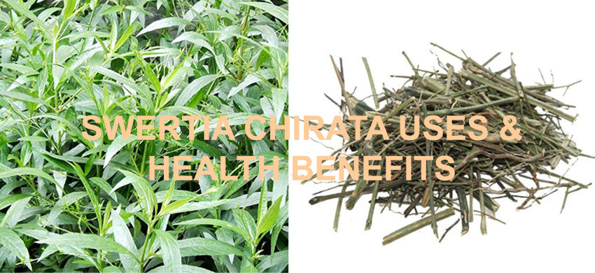 What is Swertia Chirata? What are the Health Benefits, Uses and Side Effects of Bitter Sticks? Swertia Chirayta Herbal Tea