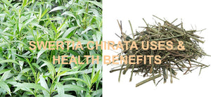 What is Swertia Chirata? What are the Health Benefits, Uses and Side Effects of Bitter Sticks? Swertia Chirayta Herbal Tea