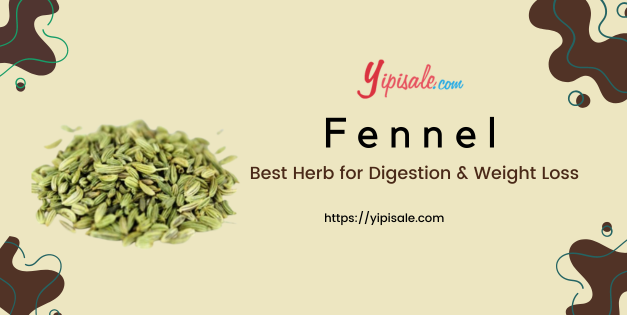 What are the Fennel Health Benefits, Uses, and Side Effects? What are the Common names of Fennel / Saunf? 2023
