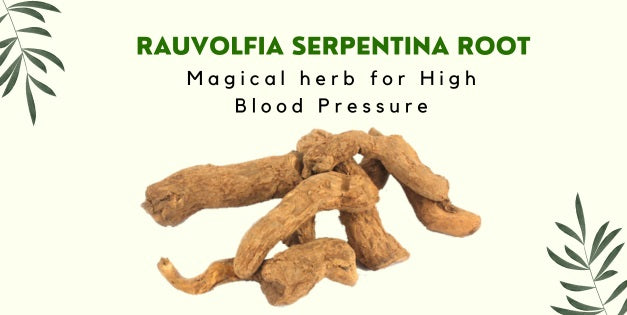 Rauvolfia Serpentina: Health Benefits, Therapeutic Uses, Dosage and Side Effects - Sarpagandha
