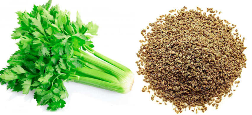 What is Celery? What are the Health Benefits, Uses and Side Effects of Celery? Easy Celery Soup Recipe