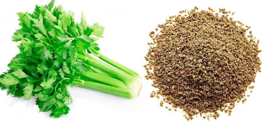 Celery: Health Benefits, Therapeutic Uses, Dosage and Side Effects - Easy Celery Soup Recipe