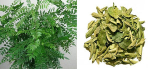 What is Curry Leaves? Health Benefits, Uses and Side Effects of Curry Leaf - A Complete Guide