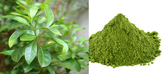 Henna Leaf Powder: Introduction, Benefits, Uses, and Side Effects of Lawsonia Inermis - Henna Designs