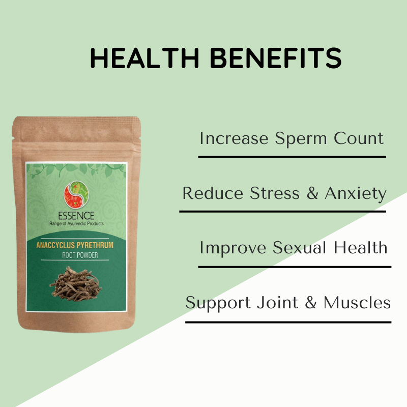 Anacyclus pyrethrum Root Powder BENEFITS