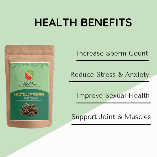 Anacyclus pyrethrum Root Powder BENEFITS