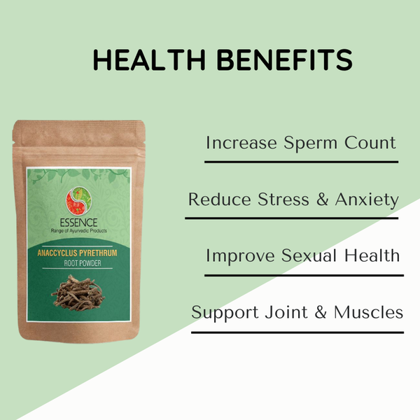 Anacyclus pyrethrum Root Powder BENEFITS