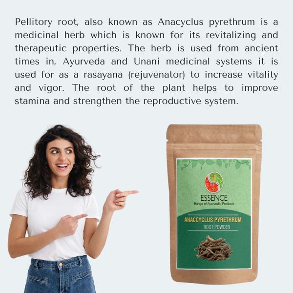 Anacyclus pyrethrum Root Powder