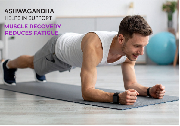 Withania Somnifera Root Powder (Ashwagandha, Indian Ginseng, Winter Cherry)