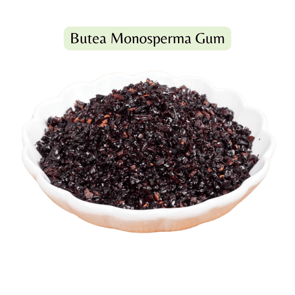 Butea Monosperma Gum in a white bowl on a white background