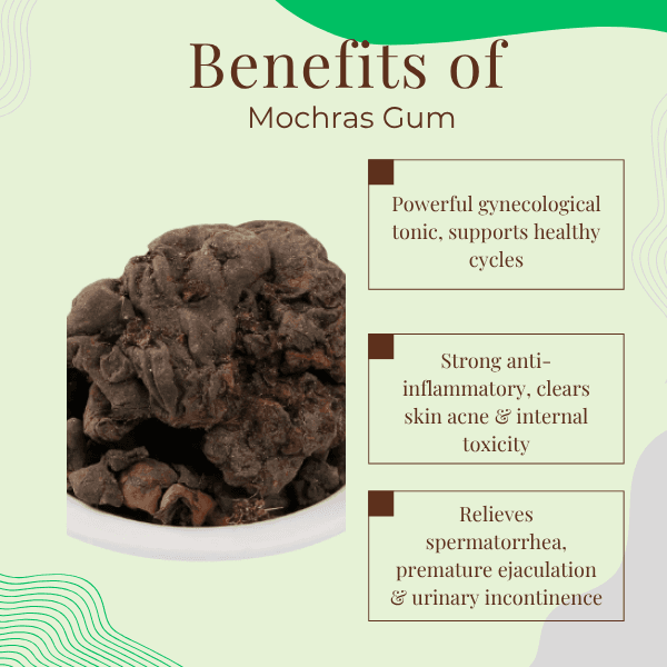 Mochras Gum | Women's Health & Digestive Relief | Silk Cotton Tree Resin Bombax Ceiba