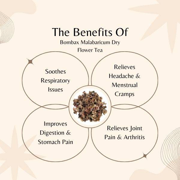 Diagram of the benefits of Bombax Malabaricum Dry Flower Tea on a beige background