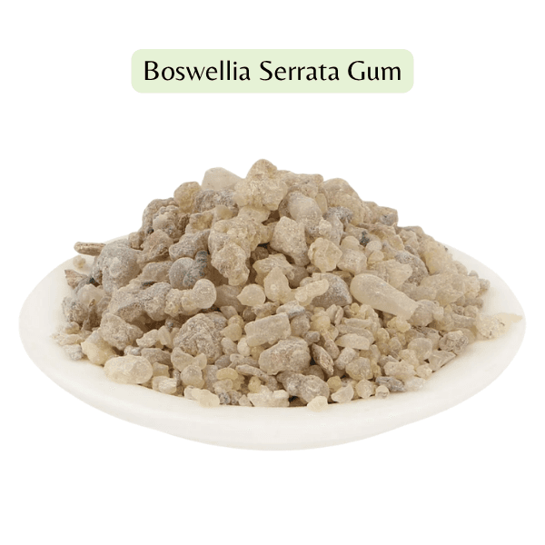 Boswellia Serrata Gum | Joint Pain & Arthritis Relief | Indian Frankincense Raw Resin