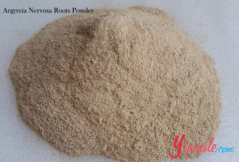 Bulk Buy 20 Kg Argyreia Nervosa Roots Powder, Vidharamool, Elephant Creeper, 705 oz.