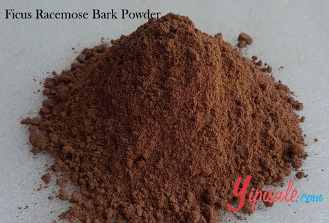 Bulk Buy 20 Kg Ficus Racemose Bark Powder, Gular Chal, 705 oz.