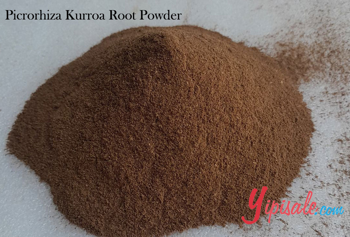 Bulk Buy 20 Kg Picrorhiza Kurroa Root Powder, Kutki, 705 oz.