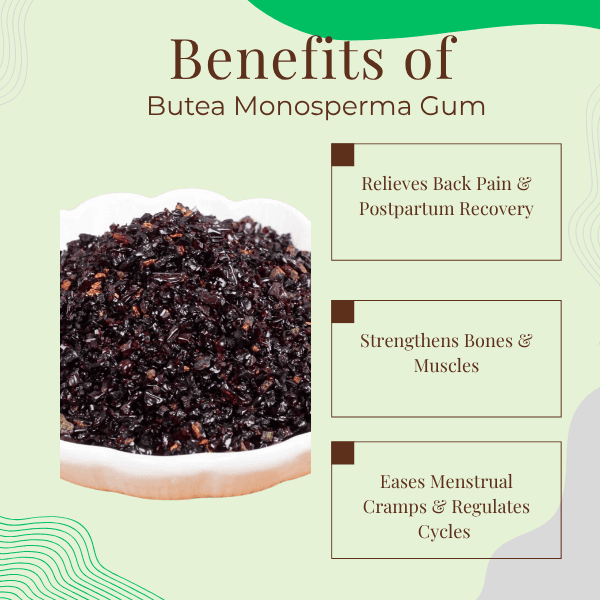 Butea Monosperma Gum with benefits listed on a green background