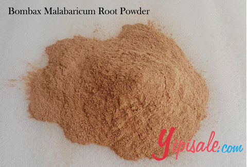 Buy Bulk 20 Kg Bombax Malabaricum Root Powder, Semal Musli, 705 oz.