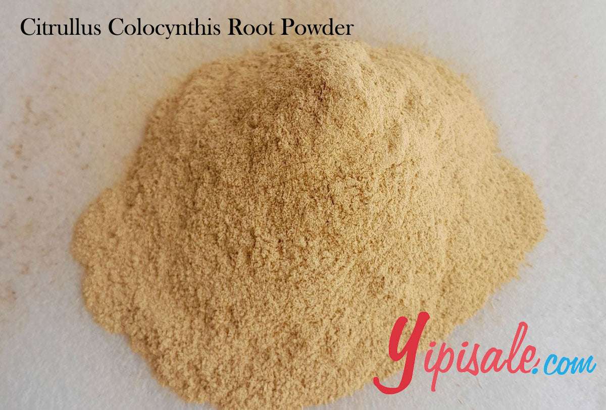 Buy Bulk 20 Kg Citrullus Colocynthis Root Powder, Bitter Apple Root, 705 oz.