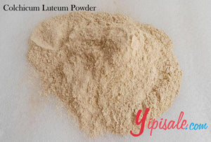 Buy Bulk 20 Kg Colchicum Luteum Powder, Suranjan Sweet, 705 oz.