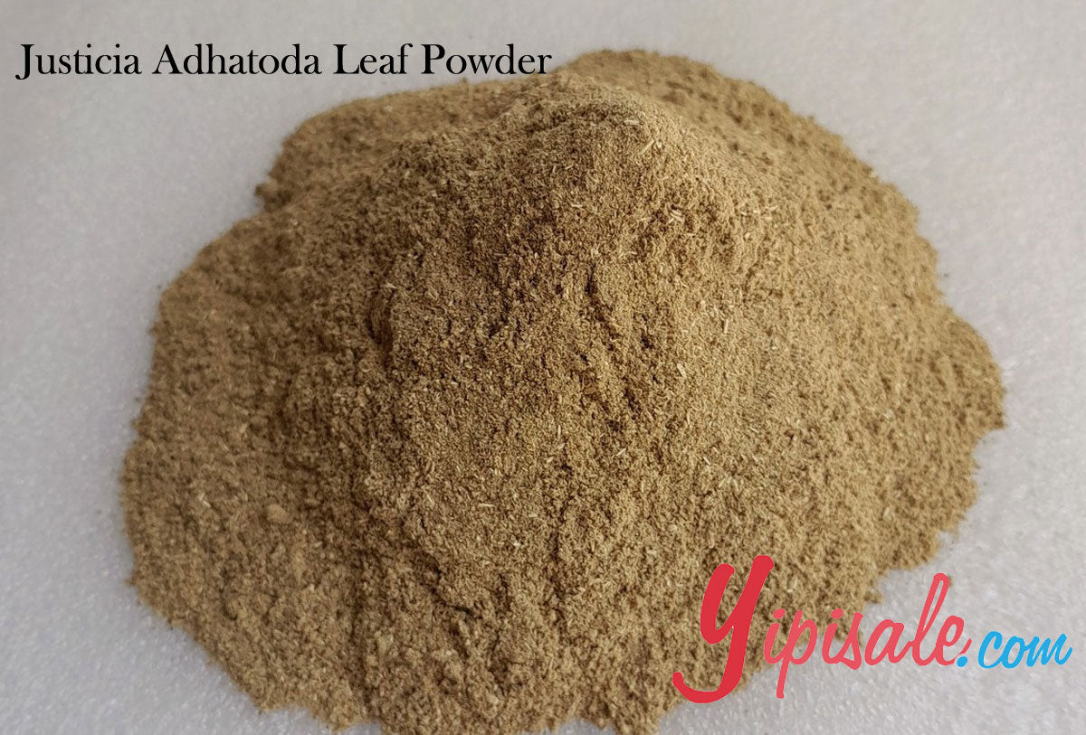 Buy Bulk 20 Kg Justicia Adhatoda Leaf Powder, Adusa, Vasaka, 705 oz.