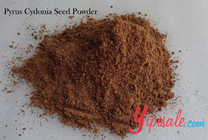 Buy Bulk 20 Kg Pyrus Cydonia Seeds Powder, Beedana, Quince Seeds, 705 oz.