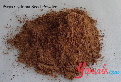 Buy Bulk 20 Kg Pyrus Cydonia Seeds Powder, Beedana, Quince Seeds, 705 oz.
