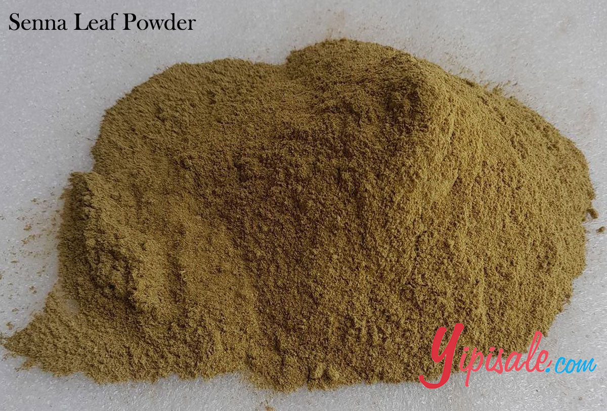 Buy Bulk 20 Kg Senna Alexandrina Leaf Powder, Sanay, 705 oz. 