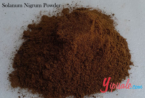 Buy Bulk 20 Kg Solanum Nigrum Powder, Black Nightshade, 705 oz.