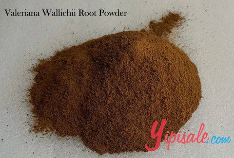 Buy Bulk 20 Kg Valeriana Wallichii Root Powder, Tagar, Indian Valerian, 705 oz.